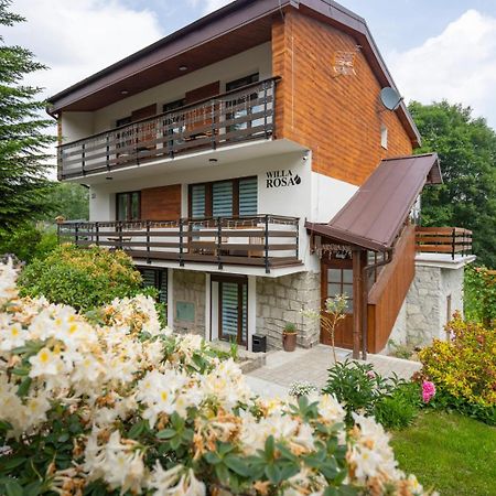 Willa Rosa-Apartamenty Z Prywatna Sauna Schreiberhau Exterior foto