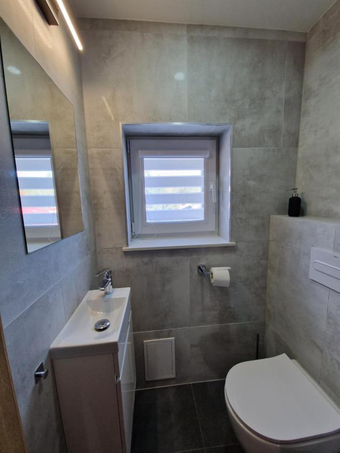 Willa Rosa-Apartamenty Z Prywatna Sauna Schreiberhau Exterior foto