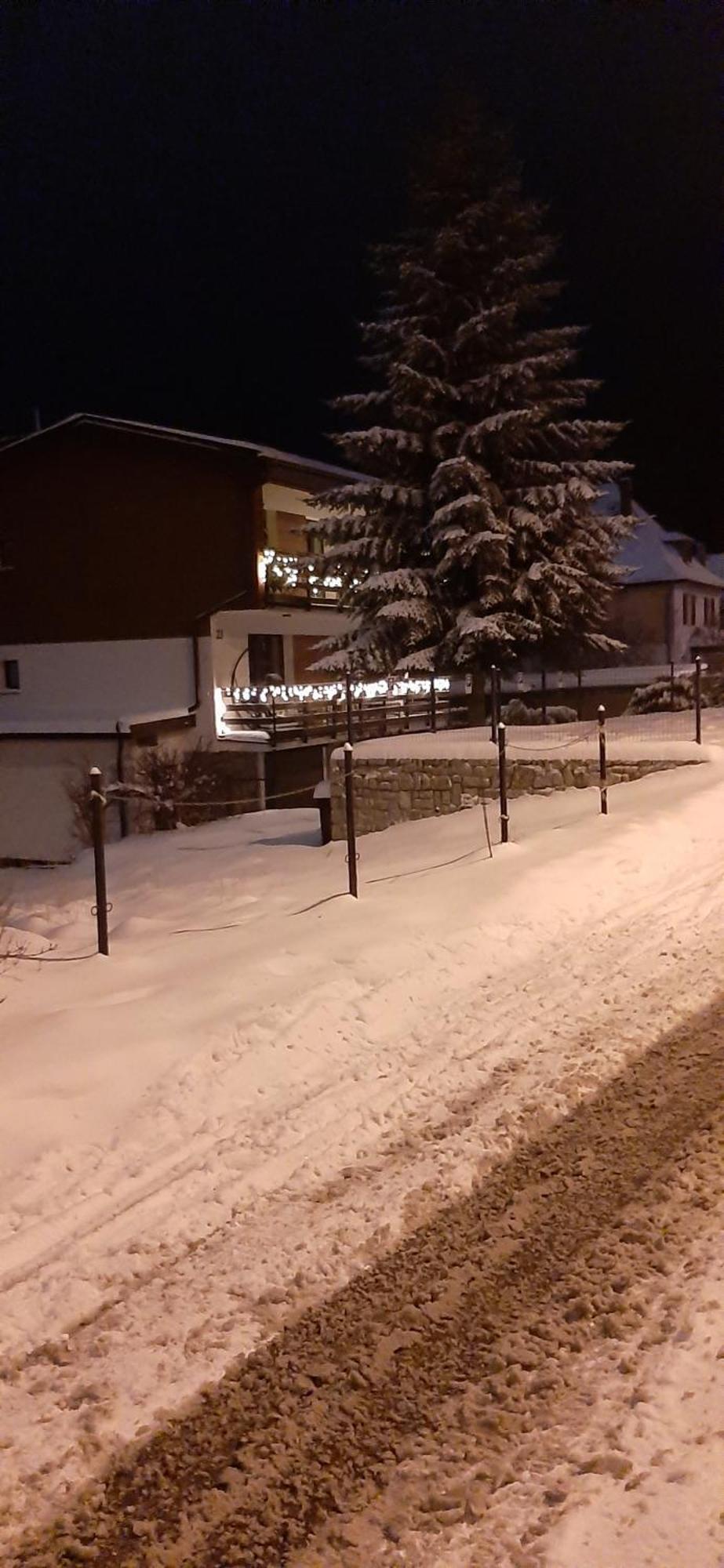 Willa Rosa-Apartamenty Z Prywatna Sauna Schreiberhau Exterior foto